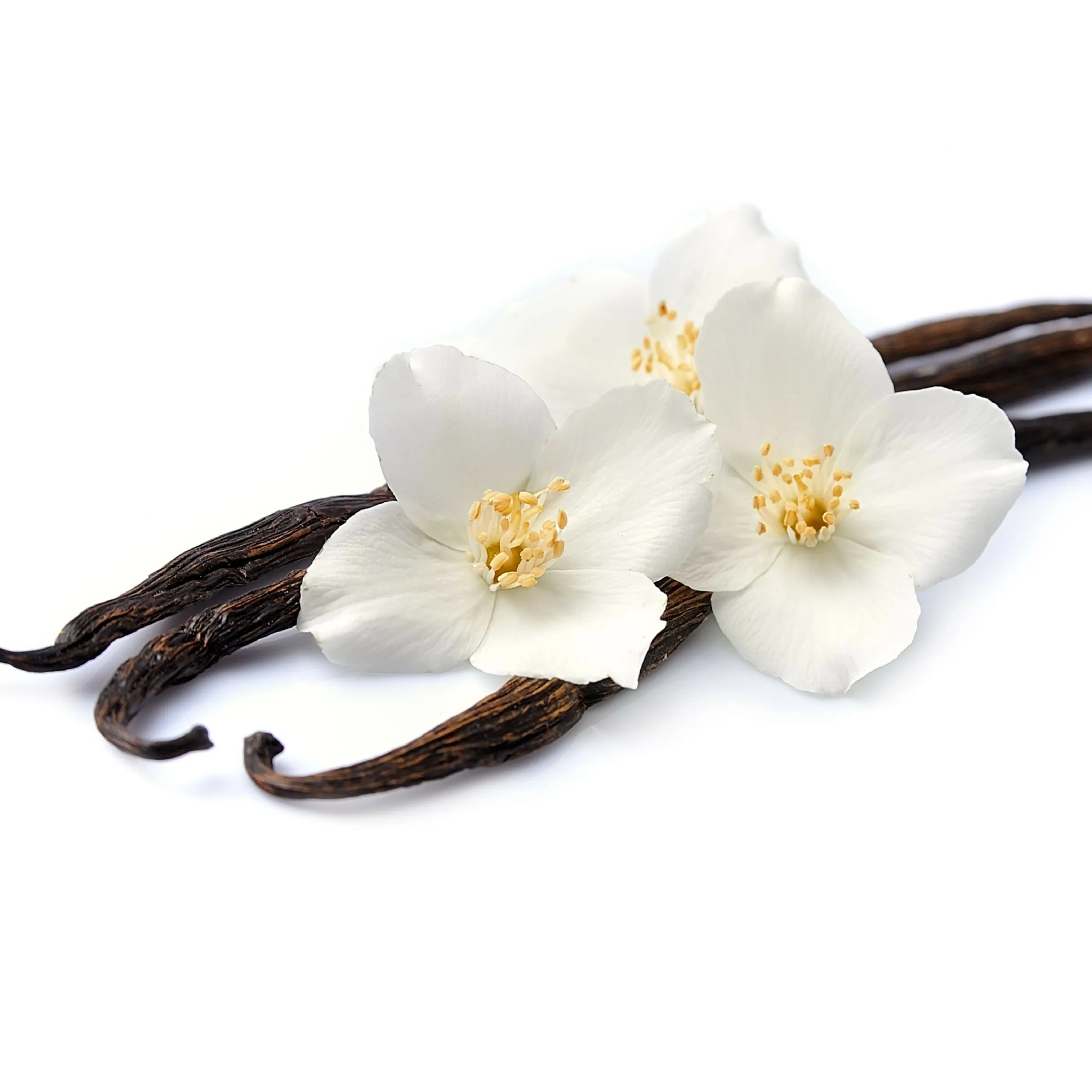CoCo Vanilla Body Polishing Sugar Scrub