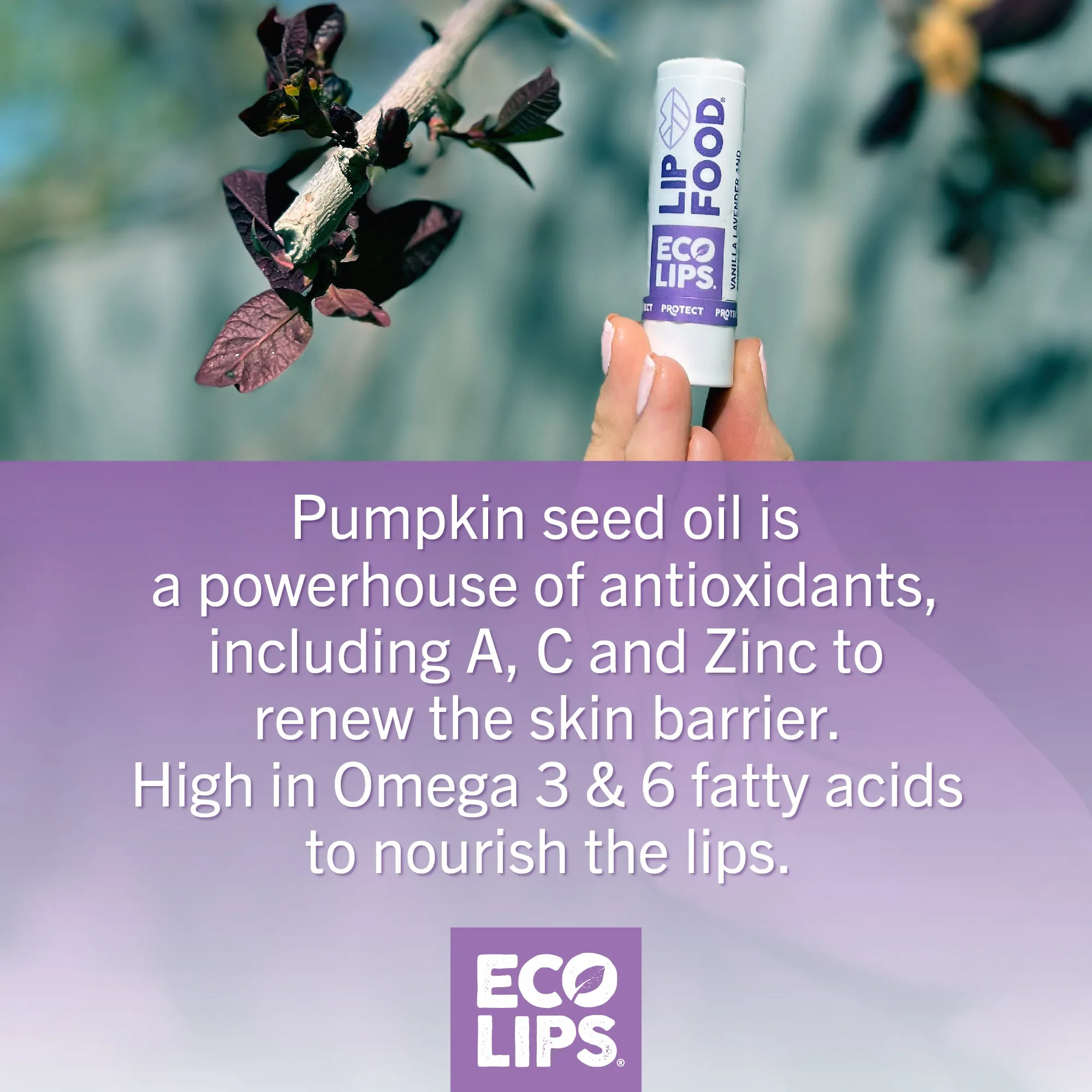 LIP FOOD® Protect Organic Lip Balm, 0.15 oz.