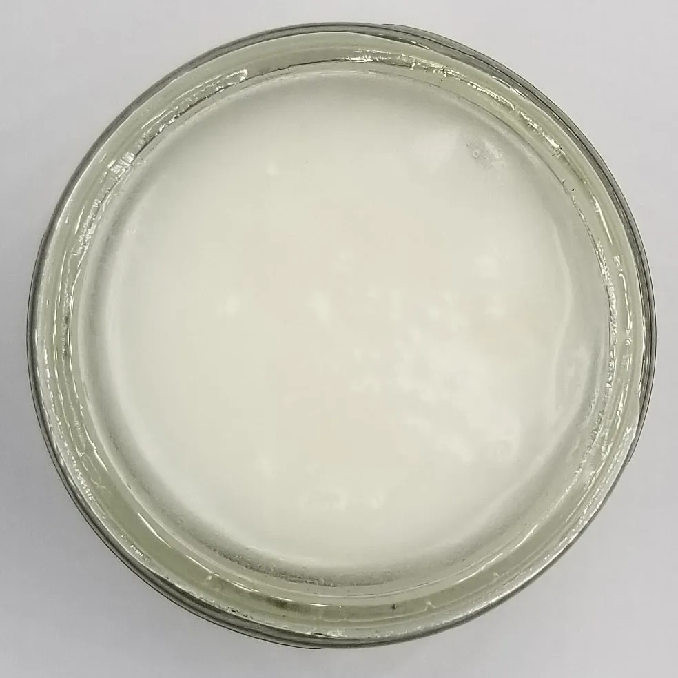Rebels and Outlaws Kiss For Luck Smoothing Lip Scrub