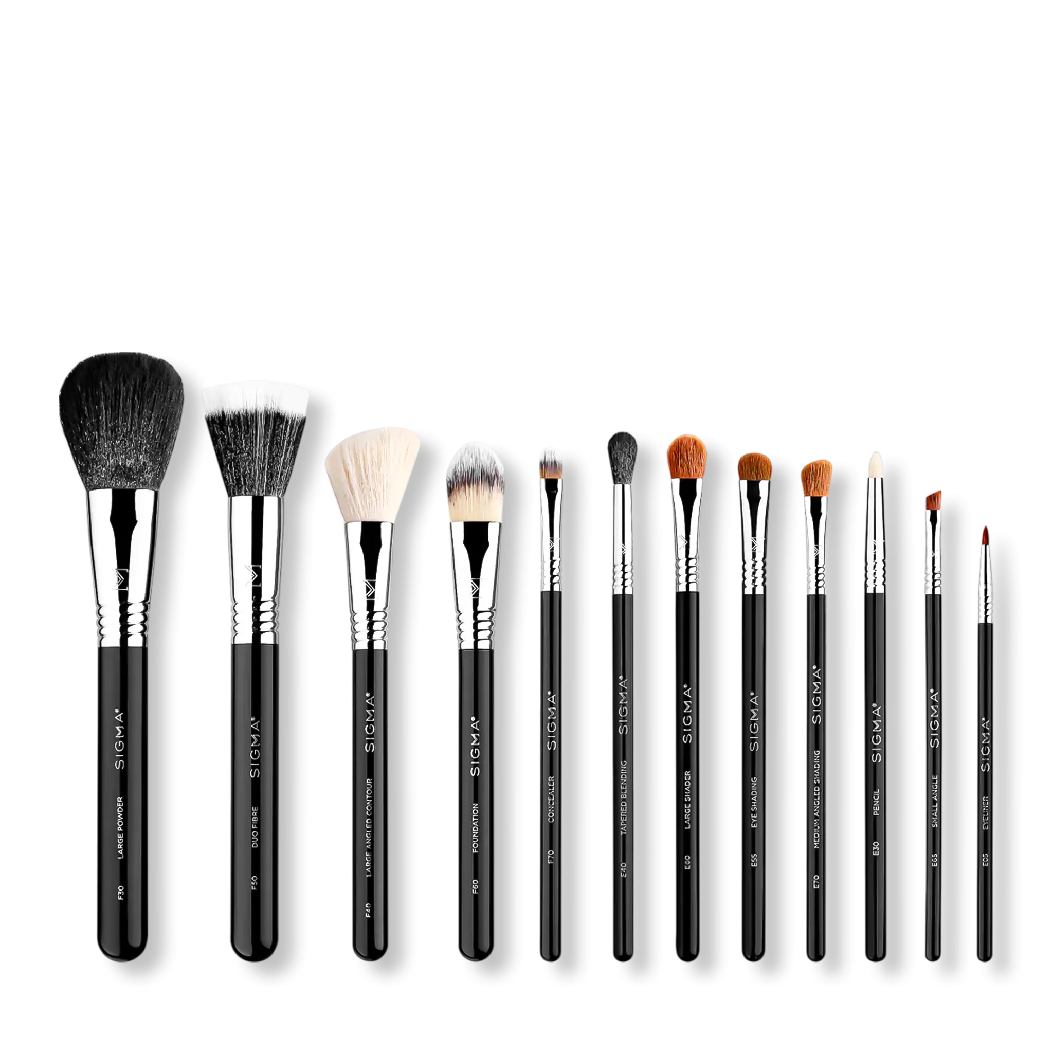 Sigma Beauty Essential Brush Set