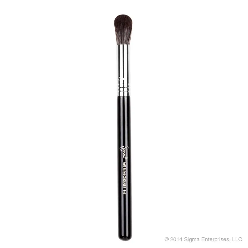 Sigma Beauty F64 Soft Blend Concealer Brush