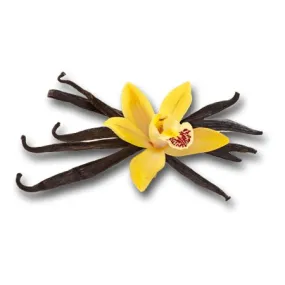 Vanilla Essential Oil 10ml